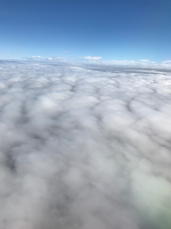 7994BC28-181A-42DC-B9E3-0C338A8FFE63