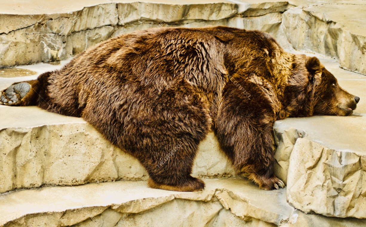 BCD66902-38DC-485F-A00F-50E89BC5191E