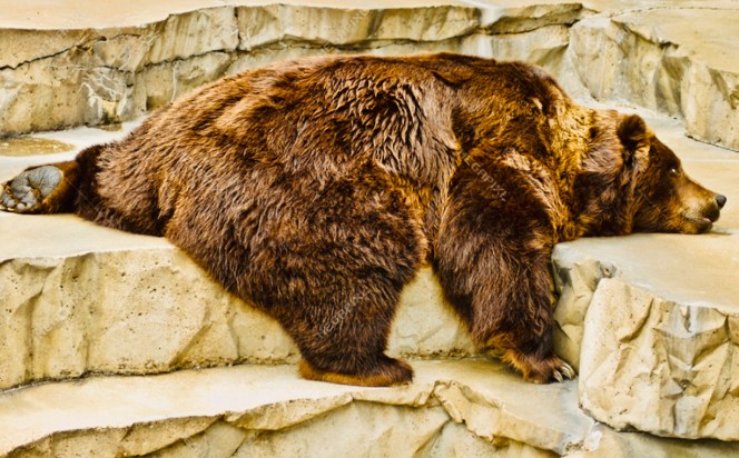 BCD66902-38DC-485F-A00F-50E89BC5191E